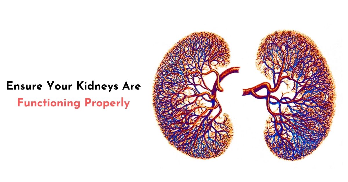How Do You Ensure Your Kidneys Are Functioning Properly?